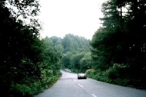 ��r�[�A�����J�C���i���������j